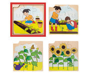 Wachstums Puzzle Sonnenblume 1