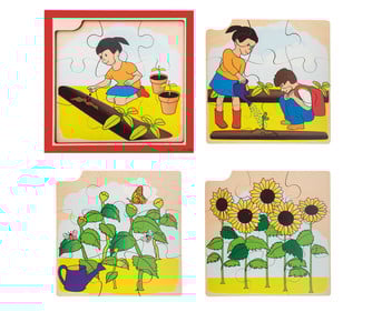 Wachstums Puzzle Sonnenblume