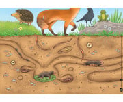 Kamishibai Bildkarten Was macht der Regenwurm im Garten? 3