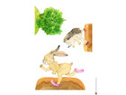 Hase und Igel