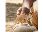 schleich® Känguru