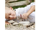 schleich® Triceratops