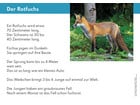 Wald und Feldtiere in Zahlen