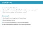 Wald und Feldtiere in Zahlen