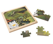 Lebenszyklus Puzzles 4er Set 3