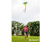 SCHILDKRÖT Flugdrachen Classic Kite 70 CrazyBird 3