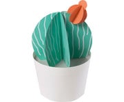 Fotokarton Pastell 300 g/m² 50 x 70 cm 100 Bogen 10 Farben 4