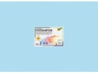 folia Fotokarton Pastell 300 g/m² 50 x 70 cm 100 Bogen 10 Farben