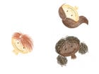 GIOTTO Stilnovo Skin Tones