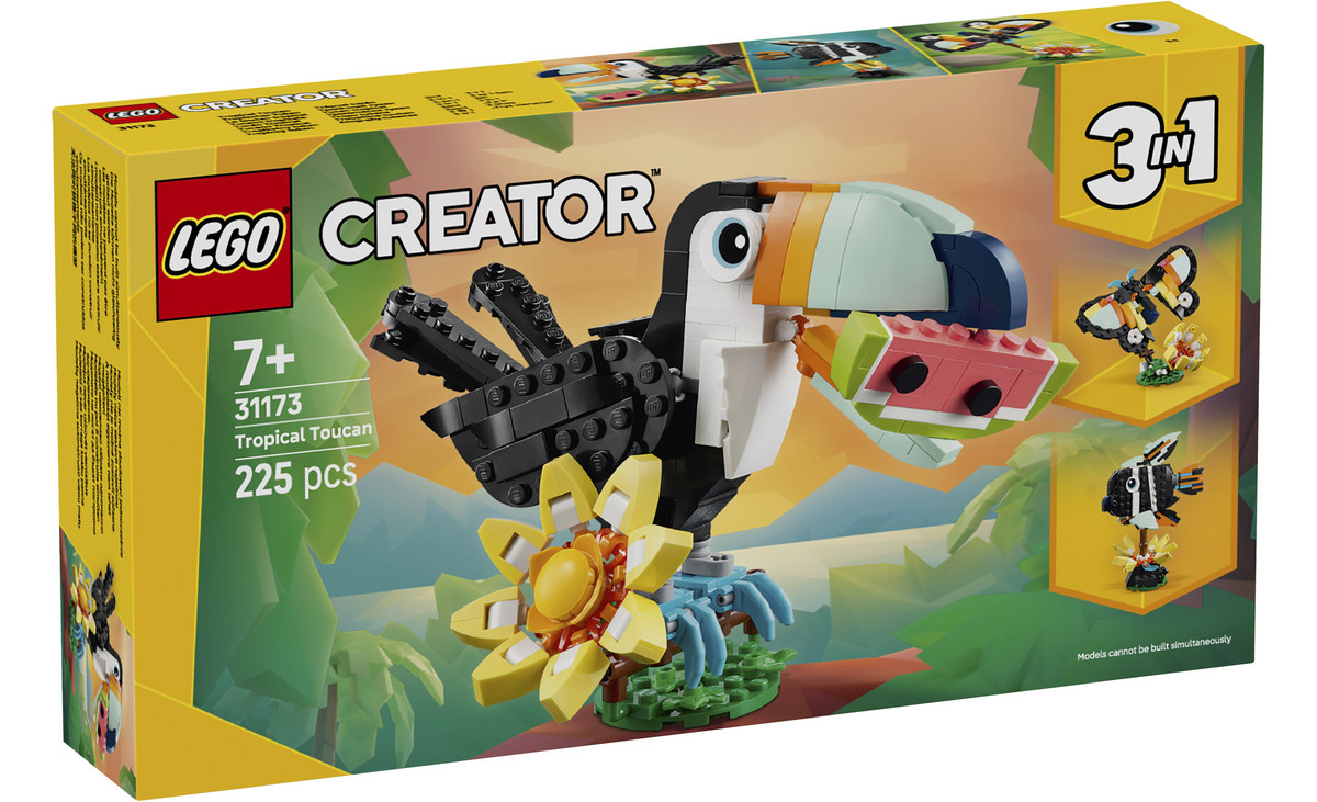 Betzold Groovy Stecktiere – 72 Teile In Aufbewahrungsbox | Kreatives Bau- Und Motorikspielzeug Für Kinder
