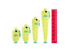 Lernspiel Fische angeln