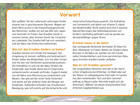 Ab ins Freie! – Bildkarten