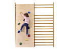 Kletterwand für Sprossenwand inkl Klettergriff Set Leicht