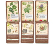 Bestimmungskarten Set Tour durch die Natur 4