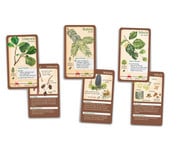 Bestimmungskarten Set Tour durch die Natur 5