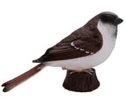 Betzold Vogel Säugetier Set 9 teilig 6