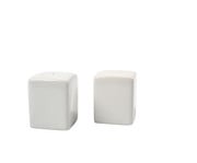 Salz und Pfefferstreuer blanko 6er Set 1