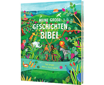 Meine große Geschichten Bibel