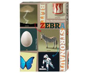 Blitz Zebra Astronaut – Das Wortkettenspiel 1