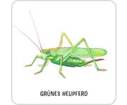 Expedition Natur – Das große Insekten Memo 5