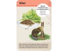 Expedition Natur – 50 Tierspuren