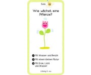 Das Wie Quiz 6