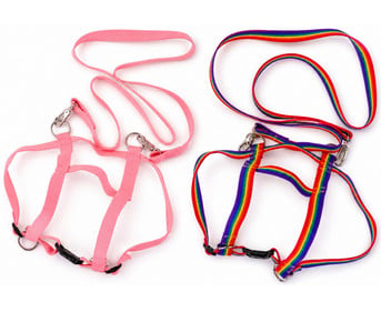 Pferdegeschirr für Kinder Nylon