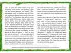 Bildkarten Wichtel Emil und die Waldtiere