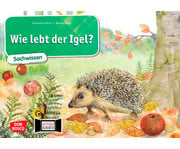 Kamishibai Bildkarten Wie lebt der Igel? 1