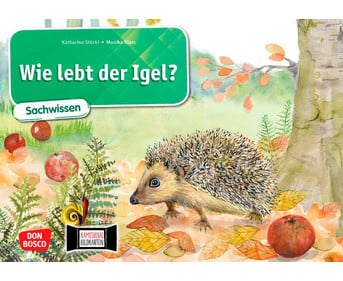 Kamishibai Bildkarten Wie lebt der Igel?