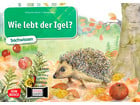 Kamishibai Bildkarten Wie lebt der Igel?