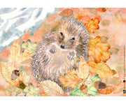 Kamishibai Bildkarten Wie lebt der Igel? 2