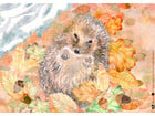Kamishibai Bildkarten Wie lebt der Igel?
