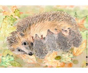 Kamishibai Bildkarten Wie lebt der Igel? 3