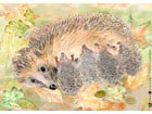 Kamishibai Bildkarten Wie lebt der Igel?
