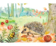 Kamishibai Bildkarten Wie lebt der Igel? 4
