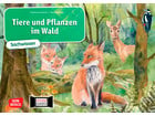 Kamishibai Bildkarten Tiere und Pflanzen im Wald