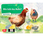 Kamishibai Bildkarten Wie lebt das Huhn? 1