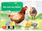 Kamishibai Bildkarten Wie lebt das Huhn?