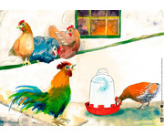 Kamishibai Bildkarten Wie lebt das Huhn? 2