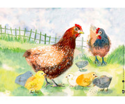 Kamishibai Bildkarten Wie lebt das Huhn? 3