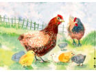 Kamishibai Bildkarten Wie lebt das Huhn?
