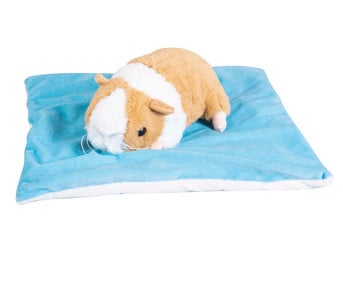 Vibrationskissen Meerschweinchen