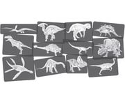 Bildkarten Set Dinosaurier mit Röntgenmotiven 1