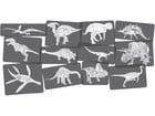 Bildkarten Set Dinosaurier mit Röntgenmotiven