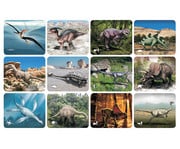 Bildkarten Set Dinosaurier mit Röntgenmotiven 3