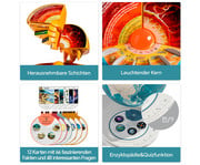 Science Can 3D Erdmodell 3
