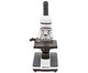 Betzold Kurs-Mikroskop M 06-2