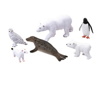 Betzold Arktische und antarktische Tiere 6 teilig