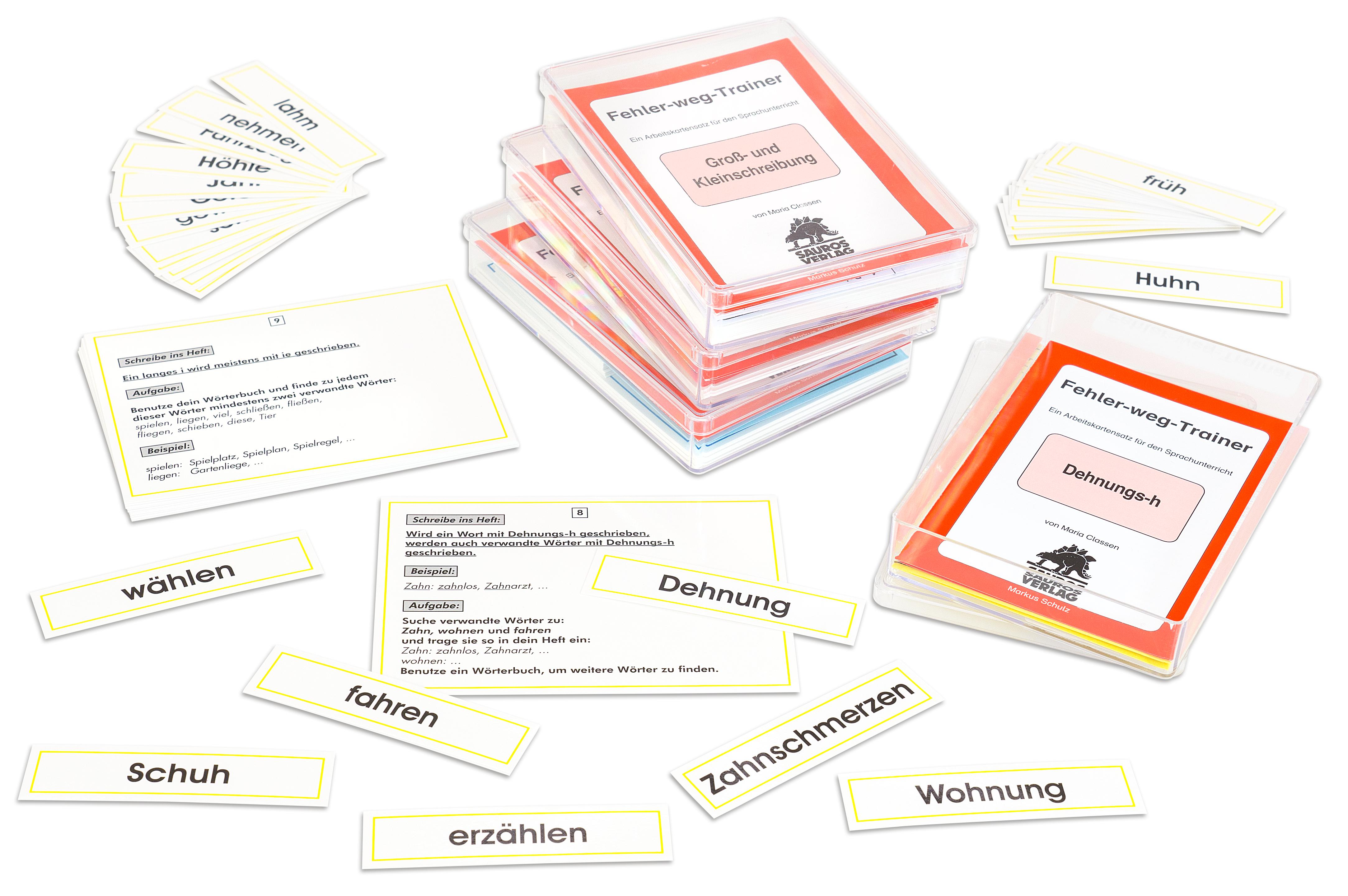 Sauros Verlag Fehler-weg-Trainer